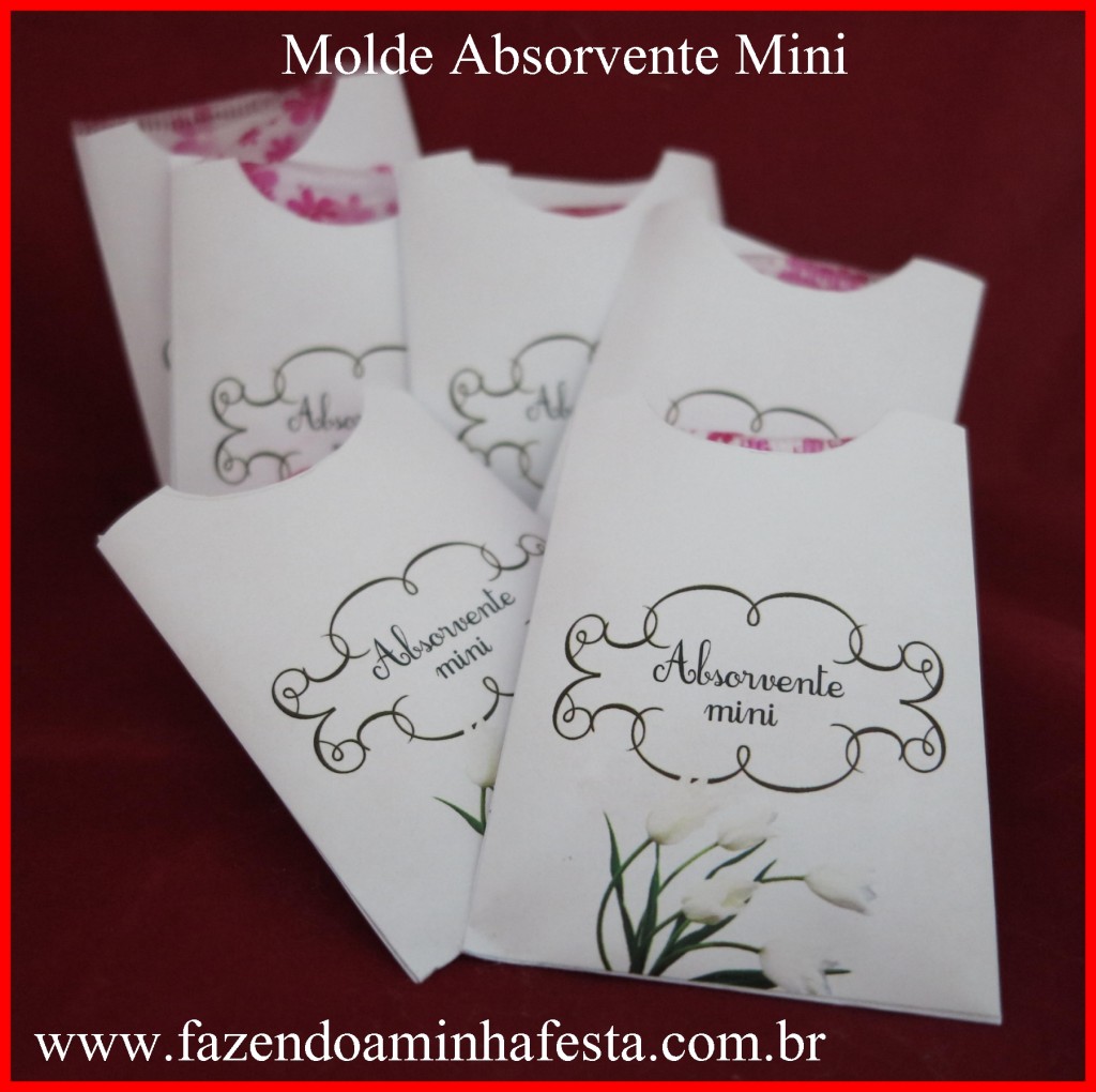 Absorvente Mini